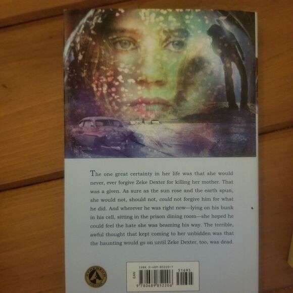 Blizzards Wake and Breathe My Name - Young Adult Books - Picture 2 of 6